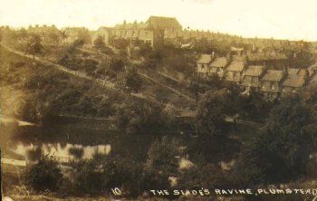 Postcard of The Slade's Ravine c.1910